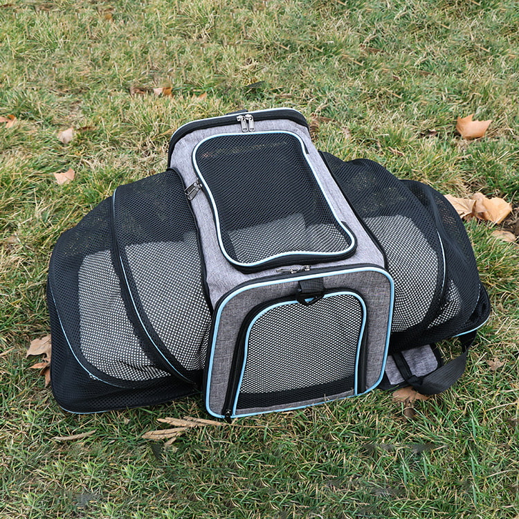 BD-GM60 Bolsa de hombro plegable para transportar gatos al aire libre