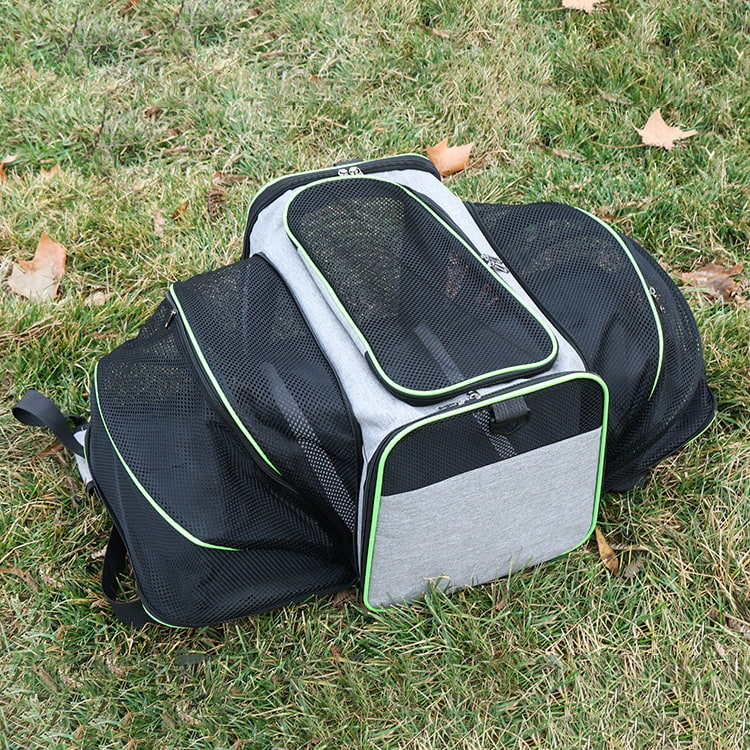 BD-GM60 Bolsa de hombro plegable para transportar gatos al aire libre