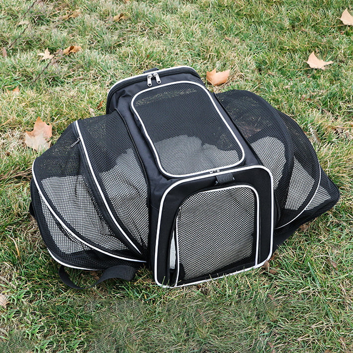 BD-GM60 Bolsa de hombro plegable para transportar gatos al aire libre