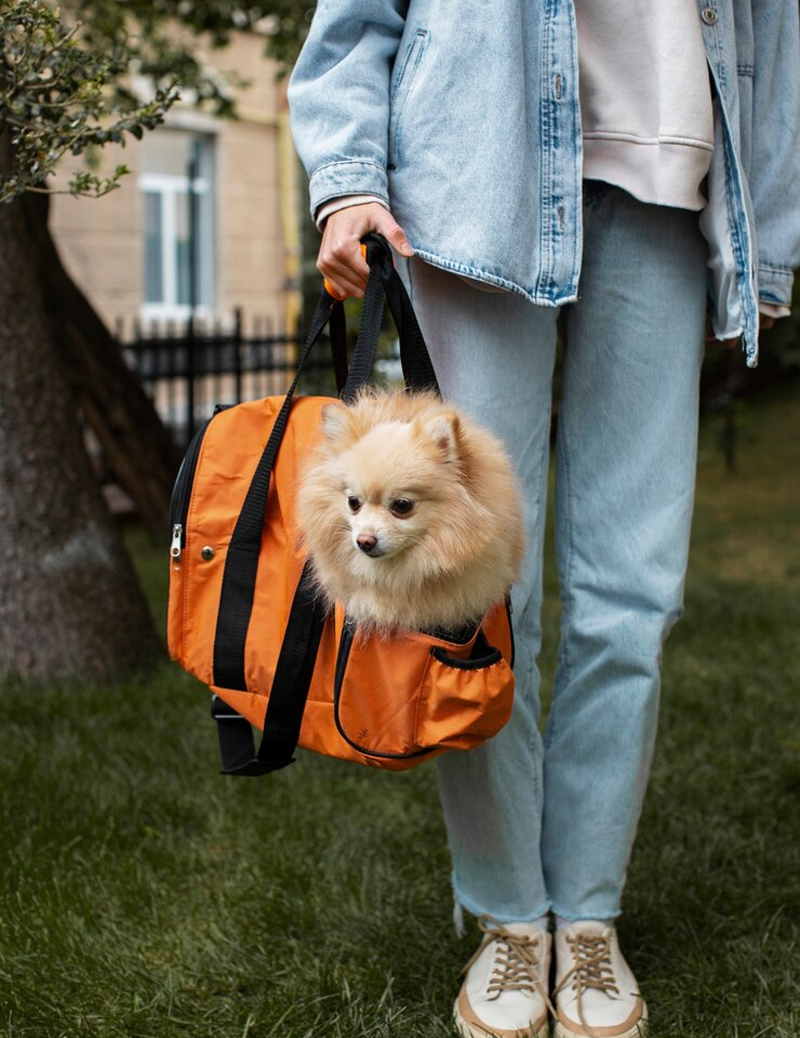 Bolsa de transporte para mascotas